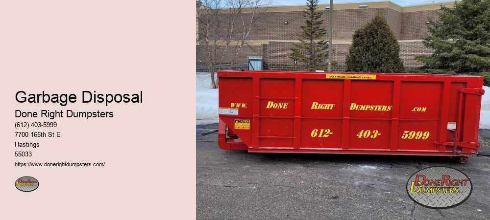 Waste Disposal Solutions Near Me